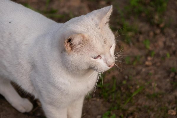 How can you manage stress to improve overall health?